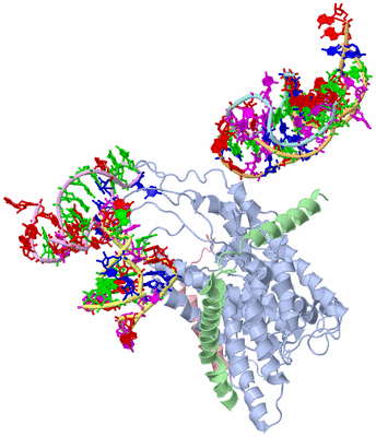 Image Asym./Biol. Unit