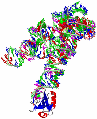 Image Asym./Biol. Unit