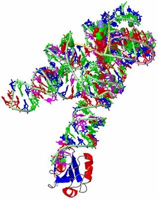 Image Asym./Biol. Unit