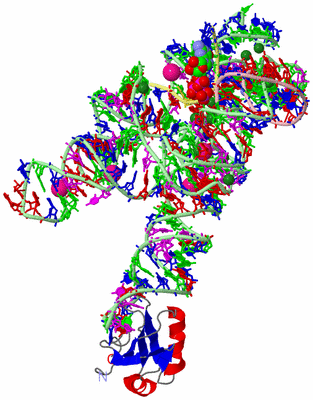 Image Asym./Biol. Unit