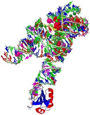 Image Asym./Biol. Unit - sites