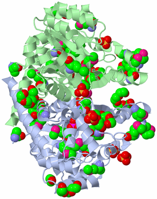 Image Asym./Biol. Unit