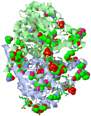 Image Asym./Biol. Unit - sites