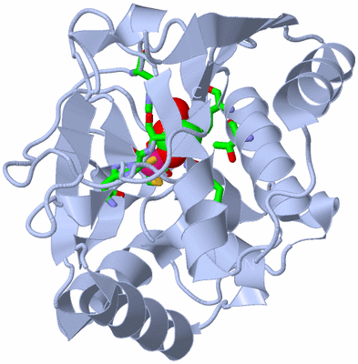 Image Biol. Unit 1 - sites