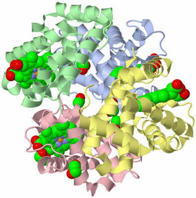 Image Asym./Biol. Unit