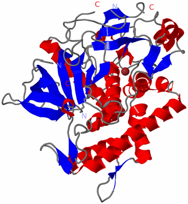 Image Asym./Biol. Unit