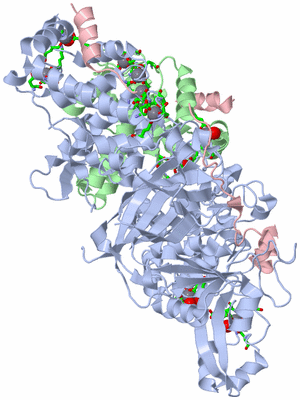 Image Asym./Biol. Unit - sites