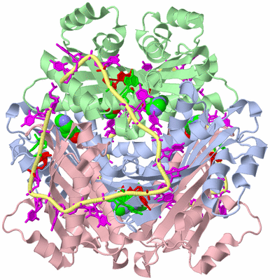 Image Biological Unit 1