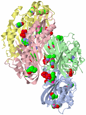 Image Biological Unit 1