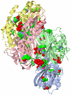 Image Biol. Unit 1 - sites