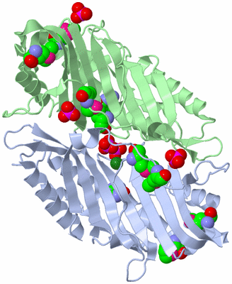 Image Biological Unit 2