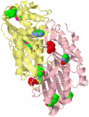 Image Biological Unit 3