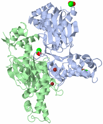 Image Biological Unit 2