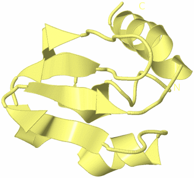 Image Biological Unit 4