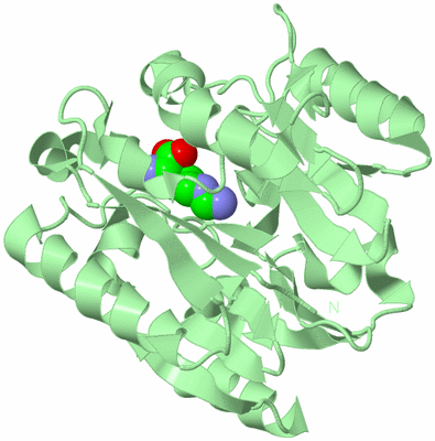 Image Biological Unit 2