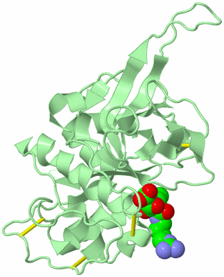 Image Biological Unit 2