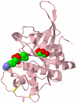 Image Biological Unit 3