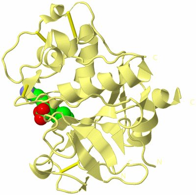 Image Biological Unit 4