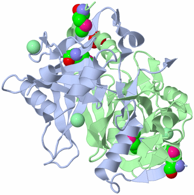 Image Asym./Biol. Unit