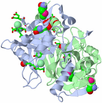 Image Asym./Biol. Unit - sites