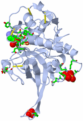 Image Biol. Unit 1 - sites