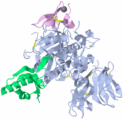 Image Asym./Biol. Unit