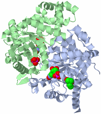 Image Asym./Biol. Unit