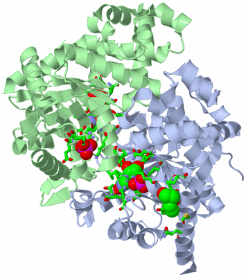 Image Asym./Biol. Unit - sites