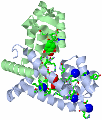Image Asym./Biol. Unit - sites