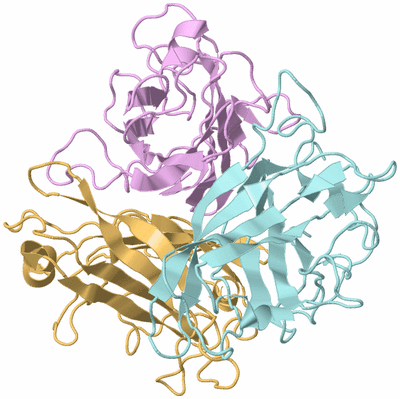 Image Biological Unit 2