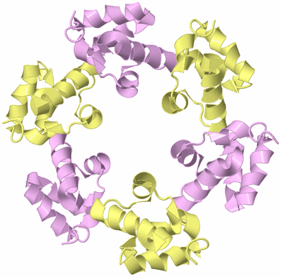 Image Biological Unit 3