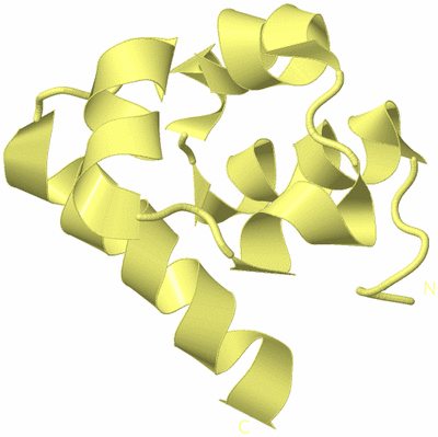 Image Biological Unit 7