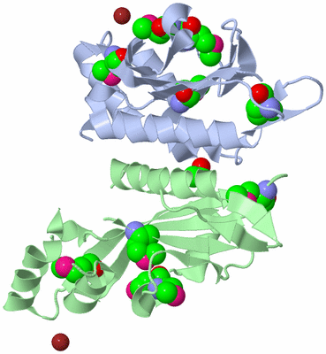 Image Asym./Biol. Unit