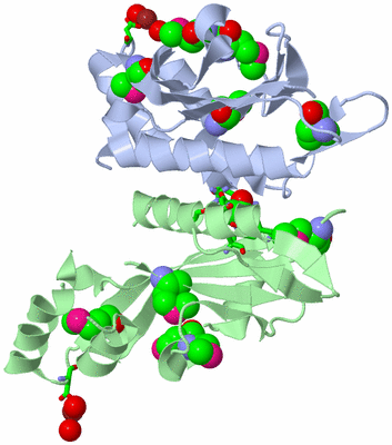 Image Asym./Biol. Unit - sites