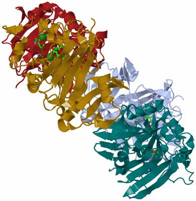 Image Biol. Unit 1 - sites