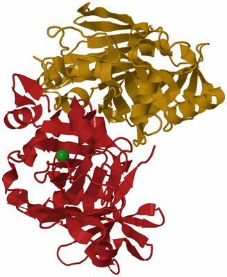 Image Biological Unit 3