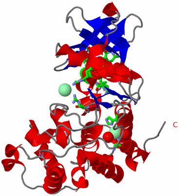 Image Asym./Biol. Unit - sites