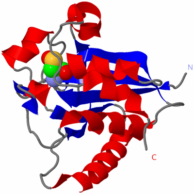 Image Asym./Biol. Unit