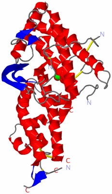 Image Asym./Biol. Unit