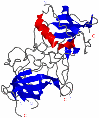 Image Asymmetric Unit
