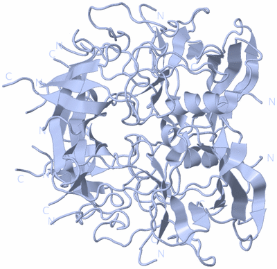 Image Biological Unit 2