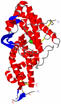 Image Asym./Biol. Unit