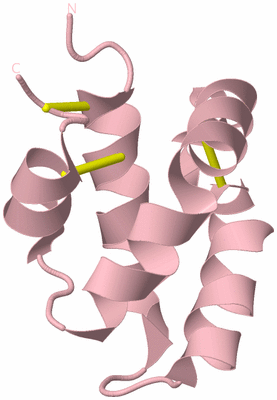 Image Biological Unit 3