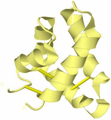 Image Biological Unit 4