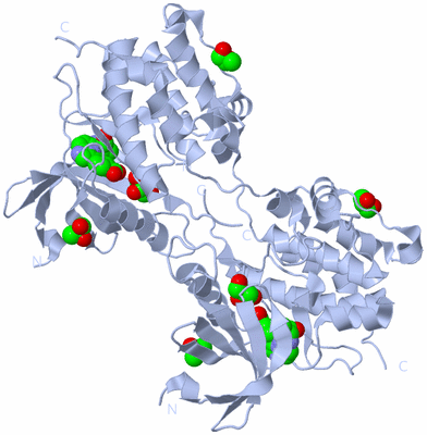 Image Biological Unit 1