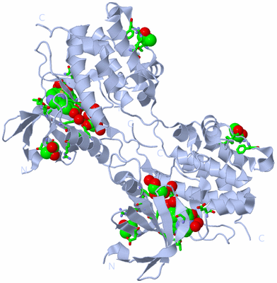 Image Biol. Unit 1 - sites