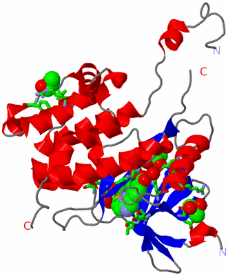 Image Asym. Unit - sites