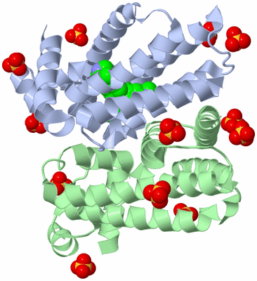 Image Biological Unit 1