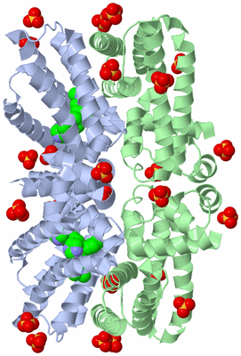 Image Biological Unit 2