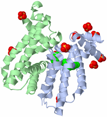 Image Biological Unit 1